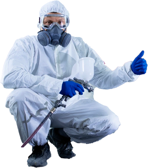 Automotive paint restoration in Tucson