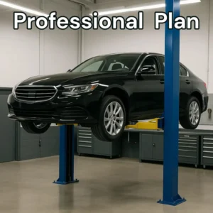 professional plan